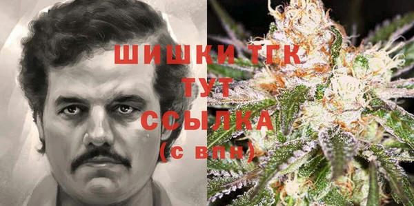 ГАЛЛЮЦИНОГЕННЫЕ ГРИБЫ Алзамай