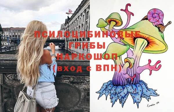 ГАЛЛЮЦИНОГЕННЫЕ ГРИБЫ Алзамай