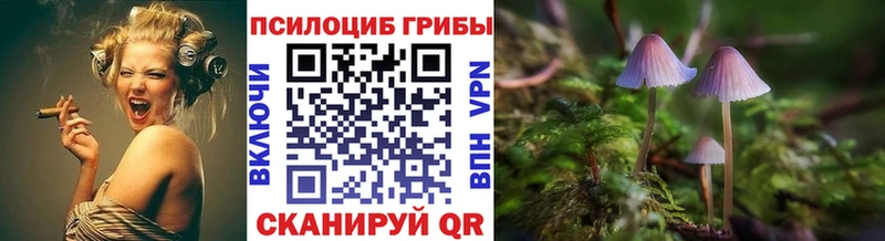 магазин    Карасук  Галлюциногенные грибы GOLDEN TEACHER 