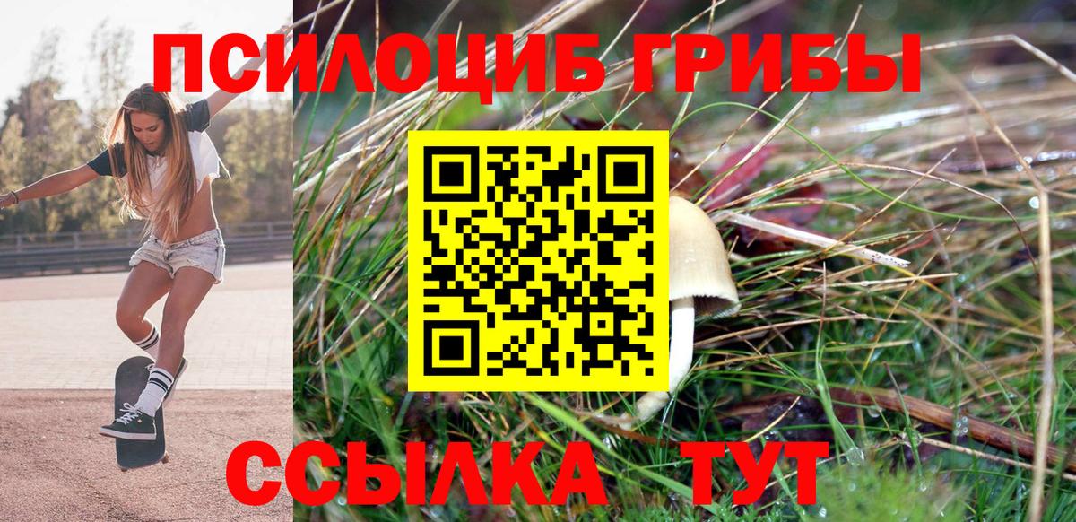 сколько стоит  Вход с VPN  Карасук  Псилоцибиновые грибы GOLDEN TEACHER  Псилоцибиновые грибы мицелий 